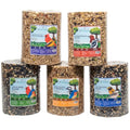 JCs Wildlife Bird Seed Cylinder with Hole Variety Pack, Premium Blends Wild Bird Food for Outside Feeders, Cardinals Woodpeckers Finches Bluebirds Chickadees, Made in the USA, Large, 5 Pack