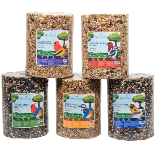 JCs Wildlife Bird Seed Cylinder with Hole Variety Pack, Premium Blends Wild Bird Food for Outside Feeders, Cardinals Woodpeckers Finches Bluebirds Chickadees, Made in the USA, Large, 5 Pack