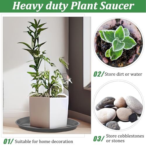 Eccliy 6 Pack Plastic Plant Saucer Heavy Duty Planter Saucers Large Plant Pot Saucers Plastic Water Trays for Indoors and Outdoors Flower Plant Plant Drip (Gray,23 Inch) - color: Gray, size: 23 Inch, style: Round