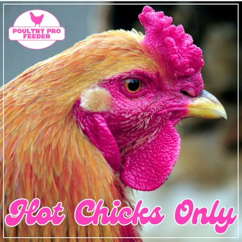 Poultry Pro Hot Chick Feeder Kit, Weatherproof, 3 Ports & Hole Saw | As Seen on Shark Tank, Gravity Fed Chicken Feeder, for Buckets, Barrels, Bins & Troughs, Poultry Feed (Bucket Not Included) - style: Hot Chick Feeder Kit