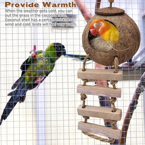 PINVNBY Coconut Bird Nest Hut with Ladder, Coconut Bird Hideout Lovebird House Hanging Toy for Budgies Parakeet Cockatiels Conure Canary Finch Pigeon (with Natural Coconut Fiber)