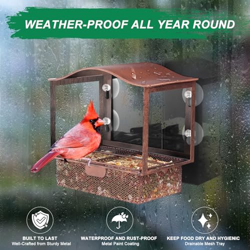 Lilyang Window Bird Feeder with Strong Suction Cups | Easy Refill Tray with 1.7 Lb Capacity, Sturdy Rust-Proof Metal, Hand-Painted Vintage Texture, Outdoor Wild Bird Watching Gift