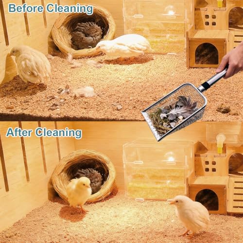 Chicken Poop Scooper, 2pcs Lightweight Sturdy Metal Scoop & Rake with 3.8mm/5mm Mesh for Small Coops, Easy Sifting Sand & Waste, Essential Backyard Poultry Cleaning Supplies