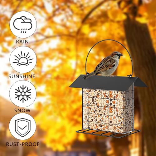 Suet Ball Bird Feeder Outdoor Hanging Metal Wire Wild Bird Feeder Fat Ball Food Feeder with Metal Roof and Platform Outside Cake Suet Feeder Rainproof (Black) - color: Black