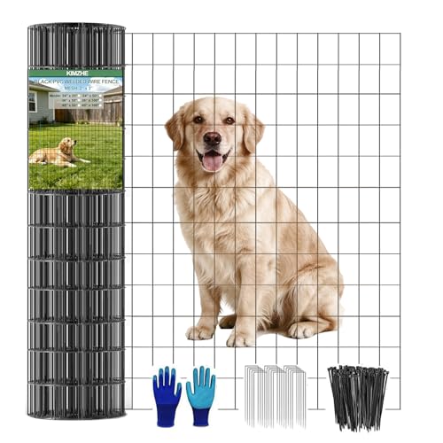 Welded Wire Fence 36inch x 50ft, 2inch x 3inch Black Chicken Wire Fencing, 16Gauge PVC Coated Garden Wire Fence Rolls, Anti-Rust Metal Fencing for Yard Plant Protection Poultry Netting - size: 3ft x 50ft