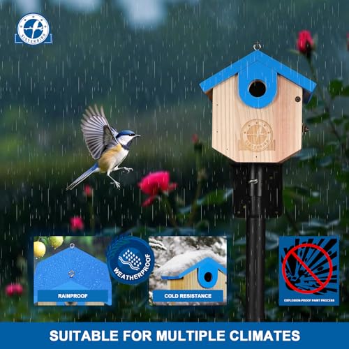SISTERBIRD Wren Bird Houses for Outside Cedar Hanging Birdhouses for Outdoors 1-1/8" Entrance Hole Bird Houses for Outside Clearance Wooden Nesting Box Chickadee Predator Guard, Blue - color: Blue