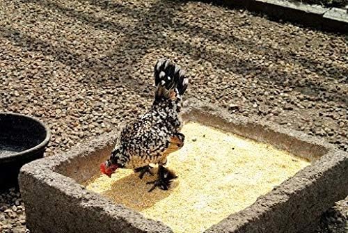 Premium Quality Bulk Cracked Corn Feed for Birds, Poultry, Deers, Wild Life 20 Pound