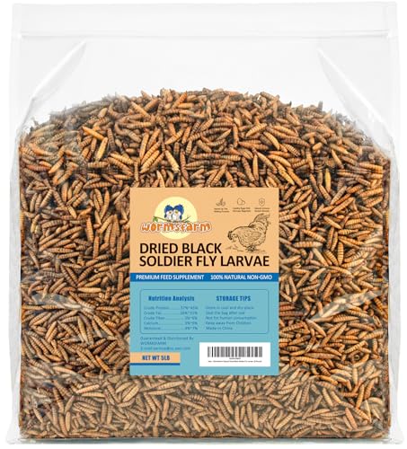 5lb Dried Black Soldier Fly Larvae for Chickens,More Ca Than Mealworms | Treats for wild birds,laying hens,blue birds - size: 5 Pound (Pack of 1)