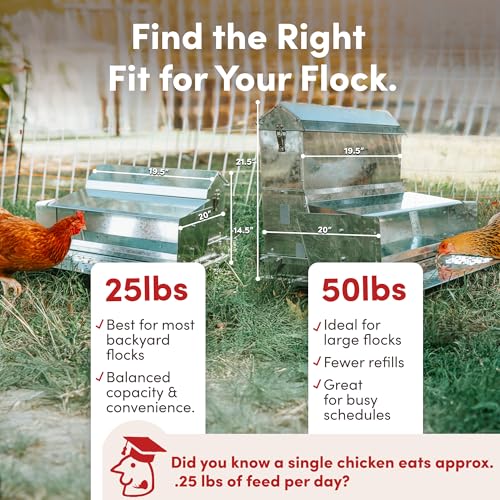 RentACoop Automatic Treadle Chicken Feeder - 40 lb Capacity - style: 40LB Treadle Feeder