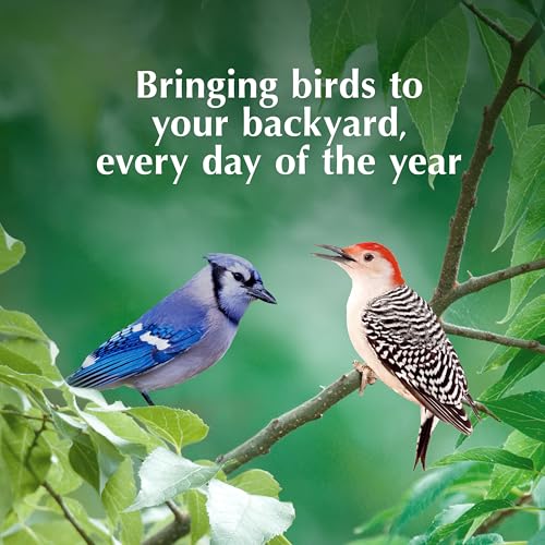 C&S Peanut Butter Delight No Melt Suet Dough, Suet Cakes for Wild Birds Including Wrens, Woodpeckers, Cardinals, Songbirds, Jays and More, 8 Pack - size: 11.75 Ounce (Pack of 8), style: Peanut Butter, 8 Pack