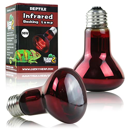 LUCKY HERP 50W Reptile Heat Lamp Bulbs 2 Pack, Reptiles & Amphibians Infrared Basking Spot Lamp, Heat Light Bulb for Turtle, Bearded Dragon, Lizard - color: Infrared Basking Light Bulb, size: 50 Watts