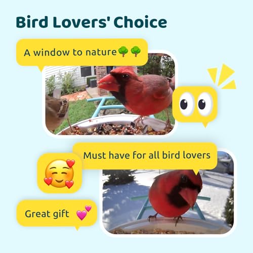 NETVUE by Birdfy Smart Bird Feeder with Camera, No Subscription, 1080P | AI Bird Species Identification, No Subscription, Night Vision, Live Stream, 2.4GHz Wi-Fi, Gifts for Bird Lovers, Yellow - color: Yellow, style: AI Solar