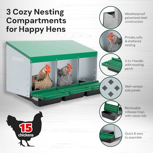 Homestead Essentials Classic Style 3 Compartment, Forward Rollout & Rollaway, Hen & Chicken Nesting Box with Integrated Perch and Protective Egg Laying Collection Lids - size: 3 Compartment