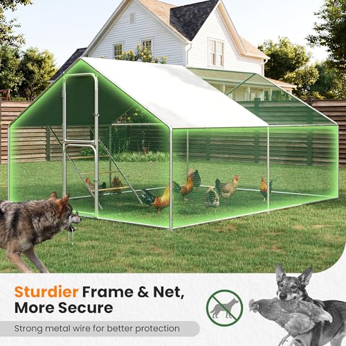 Large Chicken Run Metal Walk-in Chicken Coop with Run for 10/20 Chickens Pen with Hardware Cloth Poultry Cage with Cover Chicken Fence for Yard (10×13 FT) - color: Metallic, size: 10'L × 13'W × 6.5'H