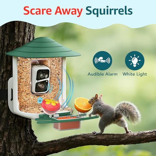 birdsnap® TUC Bird Feeder with Camera Solar Powered 2K Video with 32GB Card | AI Bird Species Identification, Squirrel-Proof, IP65 Waterproof, Outdoor Wireless, 2.4G WiFi, Gift for Mom Dad Bird Lovers - color: Yellow
