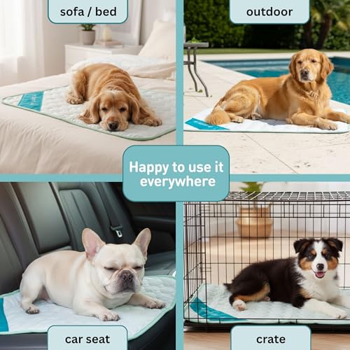 INSPECTOR TAIL Dog Cooling Mat, Indoor & Outdoor, Large Self Cooling Pad | No Freeze Needed, Breathable, Washable, Portable Cooling Mat for Dogs with Travel Bag, Fits Car, Crate, Floor & Bed, 38"x 27" - size: Mint- 38.98" x 27.17