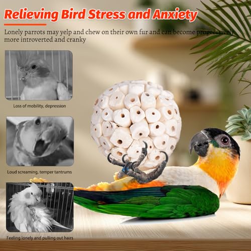 9 Pack Bird Toy Sola Balls, Natural Parrot Soft Chew Shredding & Foraging Toy, Bird Foot Balls for Cockatiel Conure Quaker Budgie Parakeet Bunny Guinea Pig Chinchilla Rabbit - size: 9