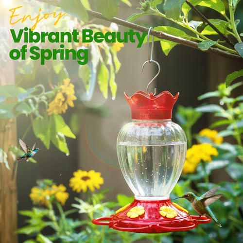 Hummingbird Feeders for Outdoors 20 OZ Hanging Hummingbird Feeder with Ant Moat & 6 Feeding Ports and Perch, Nectar Feeder for Garden, Yard, Deck