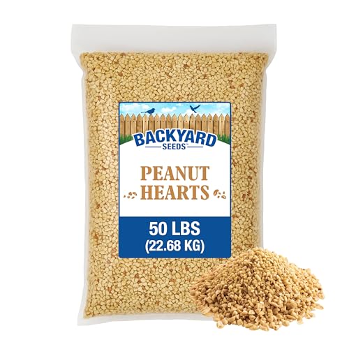 CountryMax Backyard Seeds Peanut Hearts - High-Energy Wild Bird Food, 50 lbs (50 Pounds) - size: 50 Pound (Pack of 1), style: Peanut Hearts