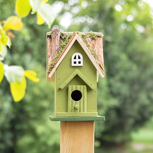 MEKKAPRO Bird House for Outside - Decorative Hanging Birdhouses for Outdoors, Birdhouse with Easy Clean Out Door, Hand-Painted Birdhouses for Chickadees, Wrens, Nuthatches, and Titmice