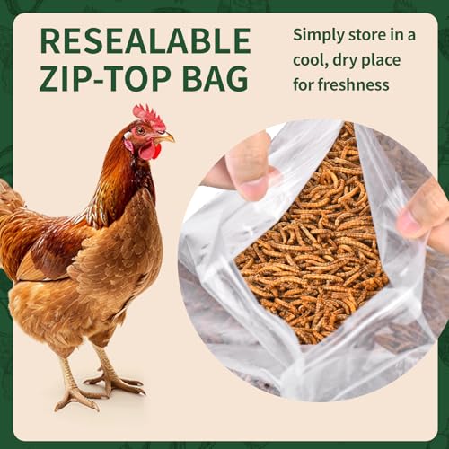 BUNTIE WORMS 5LB Dried Mealworms for Wild Birds and Chicken | High Protein Chicken Treats, 100% Natural Non-GMO Mealworms Chicken Feed for Bluebirds, Chickens, Ducks, Reptiles - size: 5 Pound (Pack of 1)