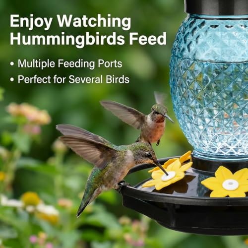 Fchstaer Glass Hummingbird Feeders for Outdoors Hanging 16oz 2 Pack Blue Pineapple Bee & Ant Proof 360°Perch Leakproof Easy Clean with 6 Feeding Ports Gifts for Mom - color: Blue-2PC