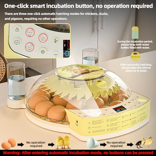 22 Egg Incubators for Hatching Eggs, Temperature & Humidity Control, LED Egg Candler, External Water Bottle Refill, 360° Clear View Window for Chicken Duck Pigeon