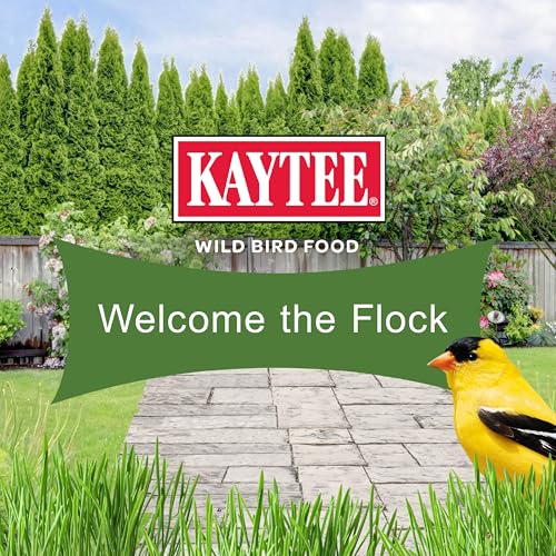 Kaytee Ultimate No Mess Food, Wild Bird Seed for Outside Feeders, Grosbeaks, Cardinals, Nuthatches, Woodpeckers & More, 9.75 Pounds - size: 9.75 Pound (Pack of 1), style: No Mess