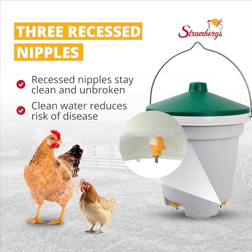Stromberg's Hanging Nipple Waterer, Sanitary Water Solution for Birds, 3 Recessed Nipples, Easy to Use, Keeps Water Clean, Ideal for Flock Health