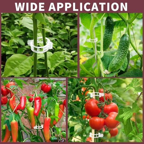 FANDAMEI 300 PCS Plant Support Clips, Plastic Garden Plant Ties, Tomato Clips Trellis for Tomato Cucumber Flower Squash Vine, 1” Inner Diameter for Climbing Plants