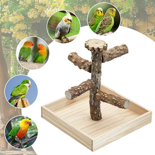 BNOSDM Portable Bird Perch Stand with Potty Tray, Natural Wood Tabletop Training Gym Parrot Playground Toy for Budgies, Cockatiels, Lovebirds,Conures Canaries - color: Five Levels Bird Stand