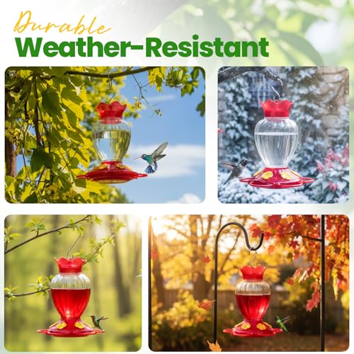 Hummingbird Feeders for Outdoors 20 OZ Hanging Hummingbird Feeder with Ant Moat & 6 Feeding Ports and Perch, Nectar Feeder for Garden, Yard, Deck