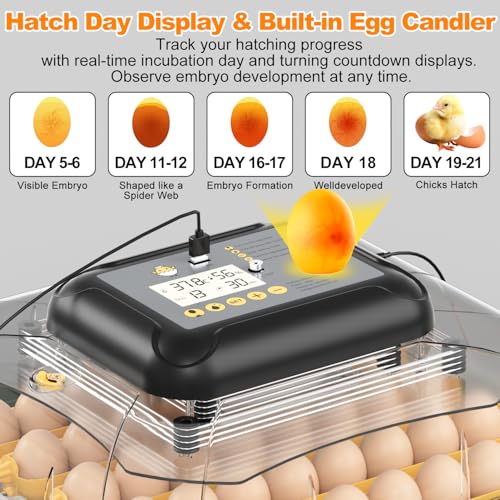 30 Egg Incubator for Hatching Eggs with Auto Egg Turning, High Precision Temperature & Humidity Display, Hatch Day, Egg Candler, Upgraded Motor, Incubator for Hatching Chickens, Higher Hatch Rate