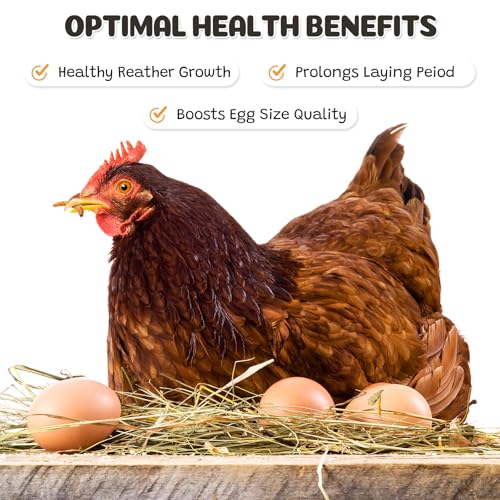 Dried Mealworms 5LB, 100% Natural High-Protein Chicken Treats & Wild Bird Food, Non-GMO Meal Worms for Laying Hens, Ducks, Bluebirds, Reptiles, Hamsters - size: 5 Pound (Pack of 1)