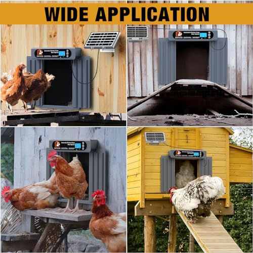 Automatic Chicken Coop Door, Extra Large Size, Anti-Pinch Design,Programmable Timer & Light Sensor Modes, Large LCD Display, Solar Powered Auto Chicken Door Opener with Remote Control（50-100m）