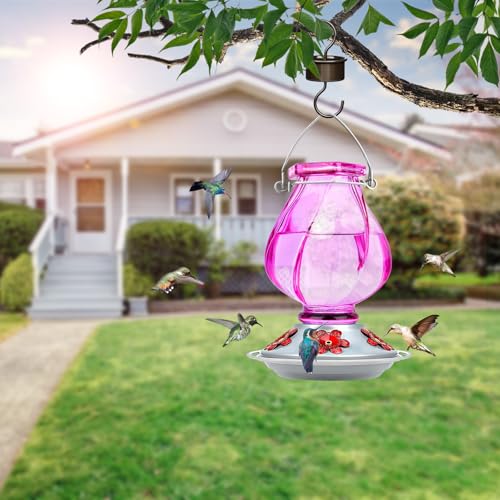 Glass Hummingbird Feeders for Outdoors Hanging, Ant Moat, Purple | 22oz, 5 Feeding Ports, Leak Proof, Weather Resistant, Easy Refill & Clean, Garden & Yard Decor, Gifts for Women Men Mom Dad - color: Ruby Purple