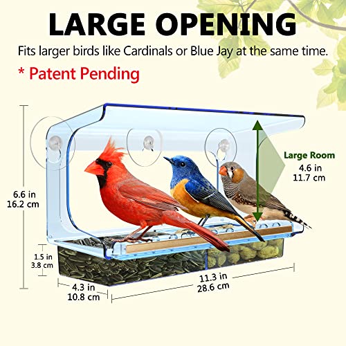 LUJII Blue Window Bird Feeder with 5 Super Strong Suction Cups, All One Piece Construction, Removable Seed Tray, Accommodates Large Birds Like Cardinals or Blue Jay for Outside Wild Bird Feeding - color: Blue, size: M