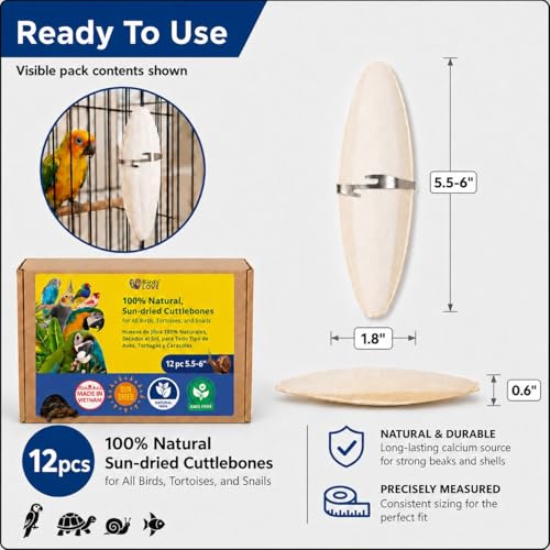 Birds LOVE 5.5 - 6″ Cuttlebones for Birds – 100% Natural Sun-Dried Calcium & Beak Conditioning Supplement for Parakeets, Budgies, Cockatiels, Finches & Canaries – 12 Pack with Holder – Made in Vietnam - size: 12 Count (Pack of 1)