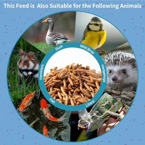 10LB Dried Black Soldier Fly Larvae for Chickens | Factory Direct-No Middle Man, 4% Calcium for Strong Eggshells, 43% Protein Natural Treats for Vibrant Feathers - size: 10 Pound (Pack of 1)