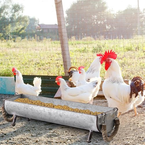 SOFE Poultry Feeder Galvanized Metal Chicken Feeder Set of 2 | Farmhouse Chicken Picnic Table Feeder, Chicken Planter, Decorative Galvanized Tray Trough Shaped, 15 and 13 Inches Long