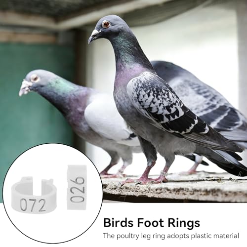 Cyrank 100pcs Birds Foot Rings, 12mm 001‑100 Numbered Pigeon Leg Bands Ring Plastic Foot Bands Clip on Leg Rings for Chicks Opening Foot Ring for Pigeon Chicks Duck Dove(White)