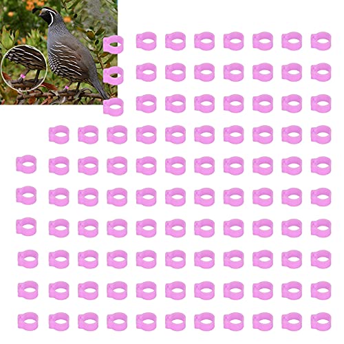 Omabeta Pigeons Leg Rings, Plastic Cold- Durable Lightweight Easy-to-Install Identification Leg Rings, for Pigeon Identification, Pink, 8mm, 100PCS - color: Pink