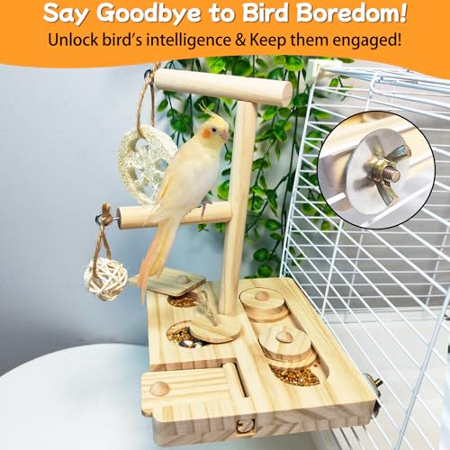 Bird Foraging Toys Parrot Enrichment Puzzle Toy Bird Playground Exploring Platform with Perch Chewing Toy for Small Birds Parakeet Cockatoo Budgie
