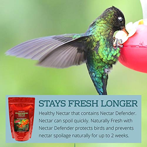 Naturally Fresh Hummingbird Nectar Powder with Nectar Defender | Bird-safe, Dye-free, Just add water, No artificial preservatives, Makes 96 oz, Nectar lasts up to 2 weeks, Made in USA