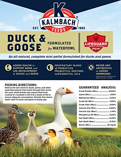 Kalmbach Feeds 18% All Natural Duck and Goose Feed Mini Pellet, 10 lb Bag