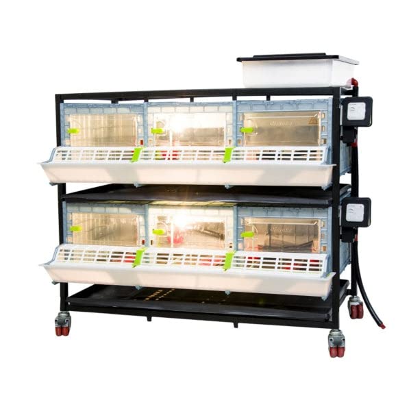 Hatching Time 9.5" Chick Brooders – Stackable or 2-Section Options with Automatic Heating, Modular Design, Easy to Clean, Ideal for Quail, Pheasant, and Baby Chicks (2 Layer) - style: 3 Section, 2 Layer