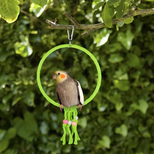 Bird Swing, 20 CM Diameter Hanging Parrot Swing with Colourful Beads, Swing Parrot Toys Cotton Rope Ring Bird Cage Toys for Budgie, Cockatiel, Canary, Parakeet, Finch (Green) - color: green