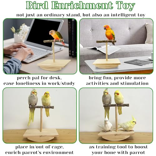 Natural Wood Bird Perch Stand Training, Quaker Parrot Toys, Puzzle | Intelligence Enrichment Toys for Parakeets, Parrot Perch Platform for Large Birds, Bird Playground Play Stands for Sun Conure
