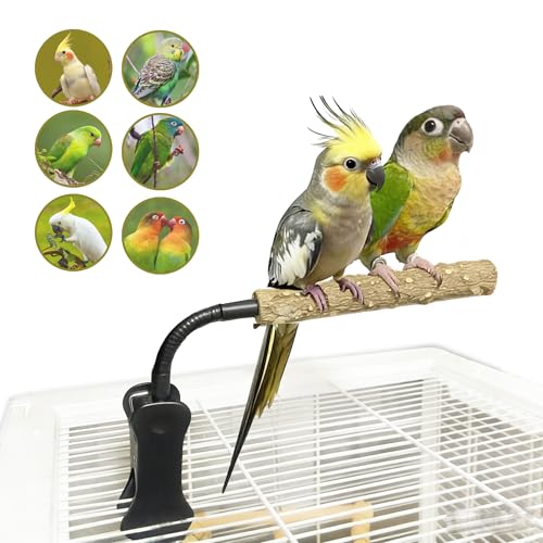 Parrot Bird Perch Stand with Clip,Adjustable & Portable Parrot Stand,Bird Training Stand for Cockatiels, Conures, Lovebirds and Medium & Small Parrots(Rough) - color: rough