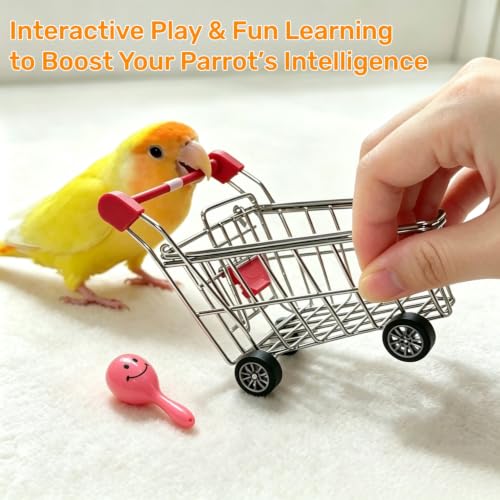 DRESSO Bird Toys for Parakeets Cockatiels Conures Lovebirds - 4PCS Parrot Training Toy Set with Mini Shopping Cart, Rattle, Ring Stacker & Beach Chair, Fun Bird Interactive Toys Set